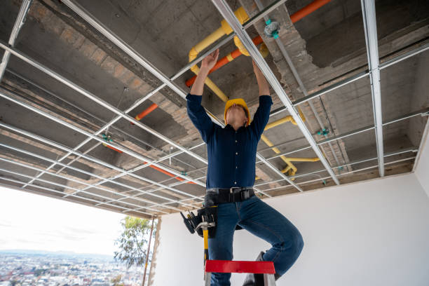 Best Local Plumber Services  in Dallas, TX